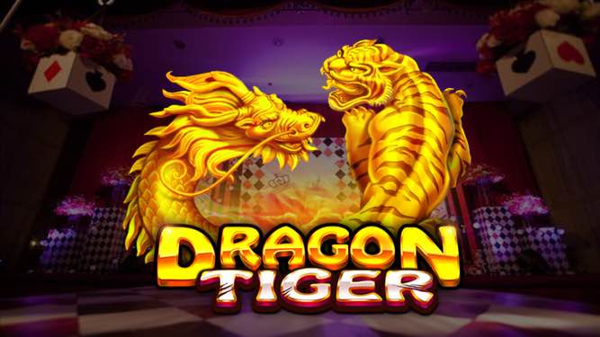 Dragon vs Tiger Techniques